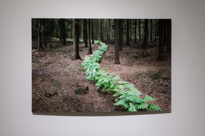 05 随我来7，埃利·戴维斯，2011，艺术微喷，60×90厘米